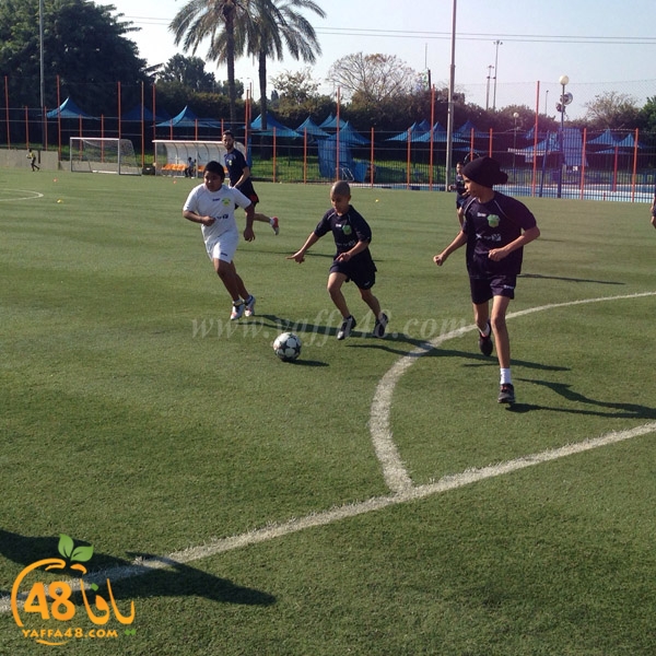 zhra2 ta2aloqg (10).JPG